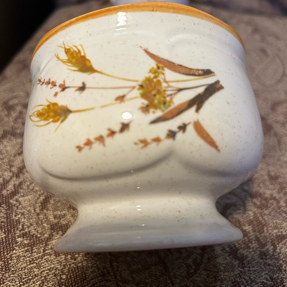 Sangostone Autumn Wheat Pattern Sugar/Creamer set. - Picture 4 of 10